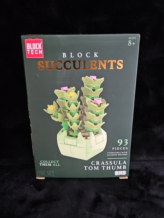 Other - Succulents Crassula Tom Thumb - Green